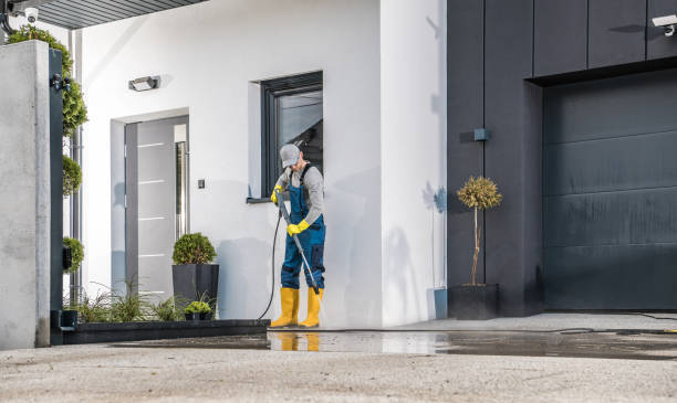Best Fleet Vehicle Washing  in Kalispell, MT